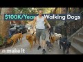 I Make 100K Walking Your Dog In NYC On The Job