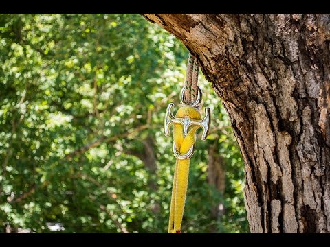 YouTube Thumbnail 9wQSwAjLwv4