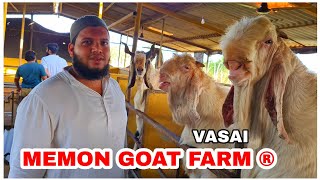 Memon Goat Farm (Vasai) Overview  All New Cages Fu
