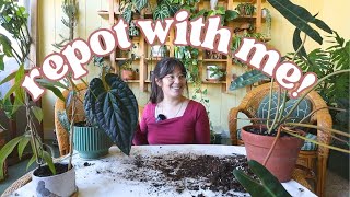 repot with me 🪴 | new Hoya, and repotting plants that have REALLY needed it...