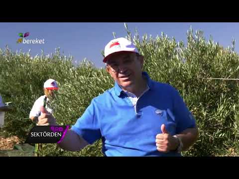 Arbequina Tanıtım — Gürsel Tanrıver