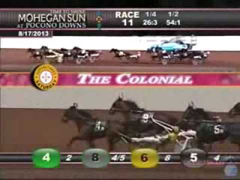 Colonial 3Y Trot 2013 -Spider Blue Chip