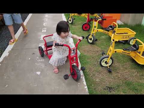 Café Kawai Family and Kids Farm Quinta-feira 26/11/2023