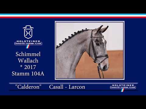 Holsteiner Frühjahrsauktion 2020 - Nr. 06 Calderon v. Casall - Larcon