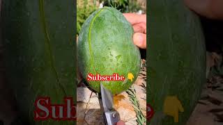 Download lagu Beautiful Muhammadﷺ Name Hasbi Rabbi Jallallah #yshorts #shortsfeed #shorts #naat mp3 Download lagu Beautiful Muhammadﷺ Name Hasbi Rabbi Jallallah #yshorts #shortsfeed #shorts #naat mp3