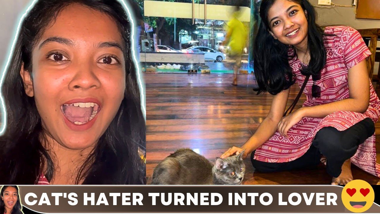 Went on a date with cats 💖 | Gods Pearl |