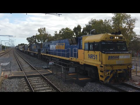 NR51 + NR96 + NR27(IP)