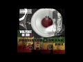 Dubmatix - War, Peace & Dub Ft Rasta Reuben(Professor Skank Rmx)