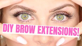 $5 Eyebrow extensions hack | cheap 3D brows at home using fake lashes // Lindsay Ann