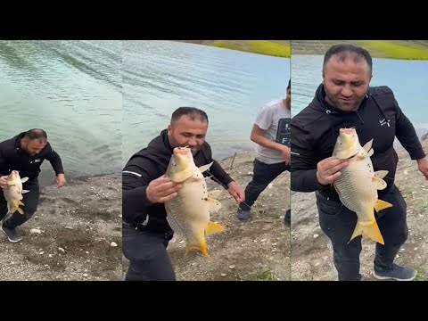 Dip Oltayla Büyük Sazan Avı | Vira Bismillah Diyerek, Sezonu Büyük ...