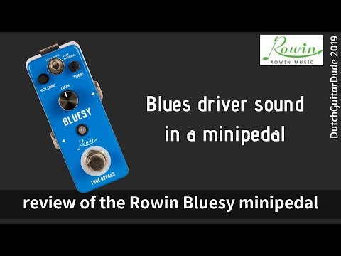 Amuzik Bluesy 300 2020-2025 - Blue image 2
