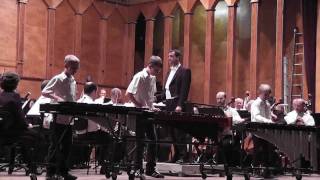 Bugler's Holiday (Leroy Anderson) auf Xylophon | mit dem Sønderjyllands Symfoniorkester