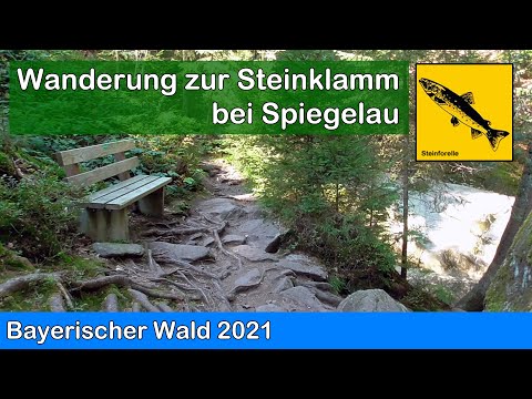 Bayerischer Wald - Wanderung zur Steinklamm bei Spiegelau