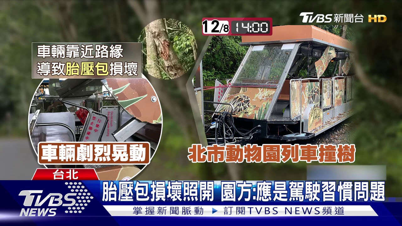 台北動物園列車驚魂! 駕駛撞樹釀4人傷