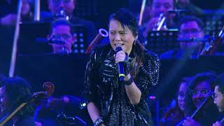 Pegasus Fantasy Nobuo Yamada Live Arena CDMX