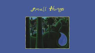 Small Things Music Video
