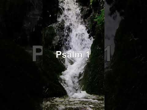 Psalm 1 - SELIGKEIT DER FROMMEN. UNSELIGKEIT DER GOTTLOSEN