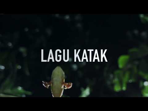 download lagu mp3 mp4 Roarm, download lagu Roarm gratis, unduh video klip Roarm