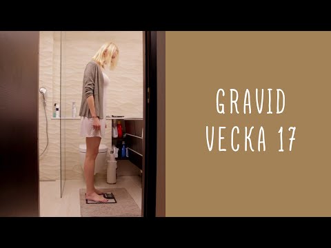 Gravid vecka 17
