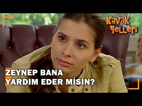 Özge, Zeynep'ten Neden Yardım İstedi? - Kavak Yelleri 163.Bölüm
