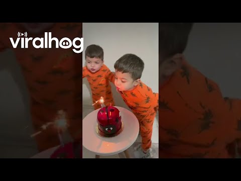 Twins Tussle Over Birthday Candle || ViralHog