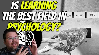 Learning: The field that made psychology a science