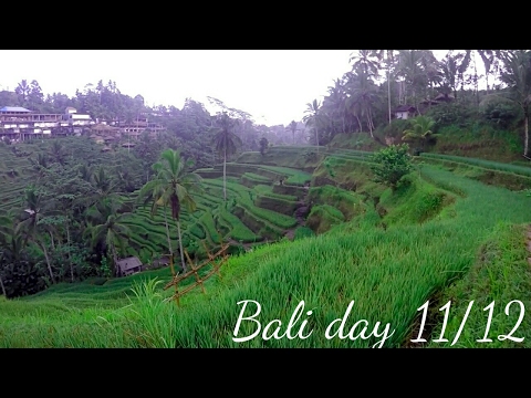 THE MOST SPECTACULAR RICE TERRACES EVER! Tegallalang Bali