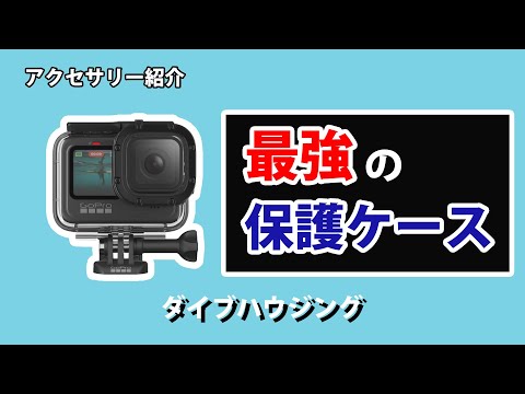 保護＋ダイブ ハウジング  本日23:59まで 明日発送可