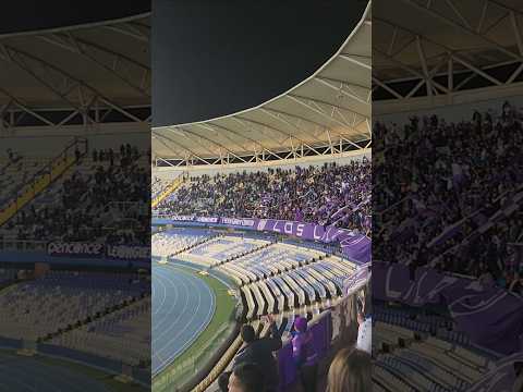 "#hinchada de #deportesconcepcion celebra #triunfo ante #magallanes #tdr #futbol #deportes #biobio" Barra: Los Lilas &bull; Club: Club Deportes Concepción