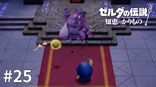 ゼルダの伝説 知恵のかりもの #25【パピーーーーー！！！】