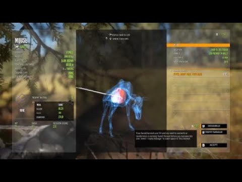 Zarza 10 308 vs moose