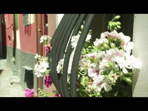 Relais Del Maro Albergo Diffuso (Borgomaro IM)