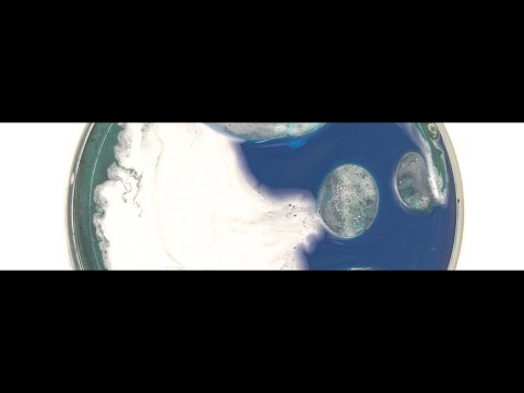 Natália Trejbalová - Isle Of The Altered Sun