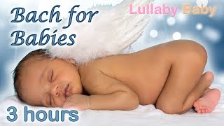 ✰ 3 HOURS ✰ BACH for Babies ♫ Air on the G String BACH ♫ Lullaby Baby Sleep Music