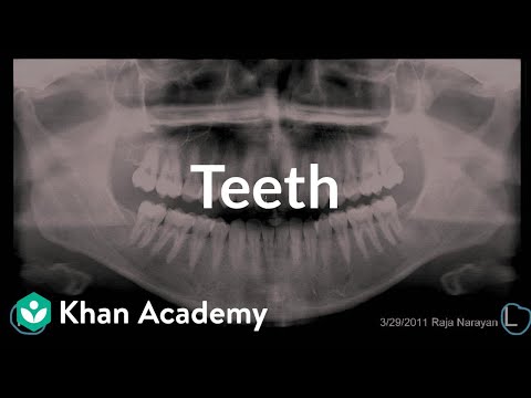 download lagu mp3 mp4 Khan Dental, download lagu Khan Dental gratis, unduh video klip Khan Dental