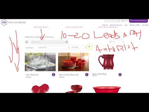 Princess House Cookware Review. The #1 Problem With Princess House Scam Claims