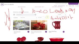 Princess House Cookware Review. The #1 Problem With Princess House Scam Claims