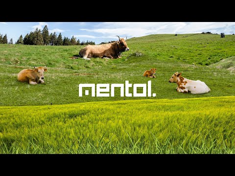 Mentol @ DanceFM Weekend Mood 051