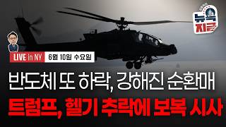 [김종학의 뉴욕, 지금-6월10일] 트럼프, 미군 헬기 추락에 “대응해야"..유가 낙폭 축소 | 스페이스X,…