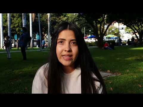 Colombian Au Pair, Daniela Diaz, 24 - EurAupair Video Profile