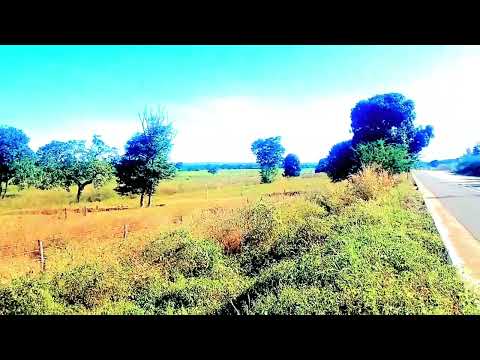 CASARÃO ANTIGO EM UMA GRANDE FAZENDA EM SÃO JOÃO DO PIAUÍ. 