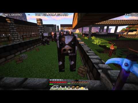 STALLVERSCHÖNERUNG! - Gestrandet #008 - GAMESTAR