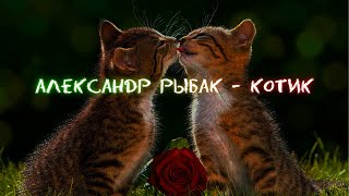 Александр Рыбак - Котик slowed