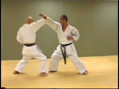 Wado Ryu Karate-do  Techiniques 6-4 kyu v1