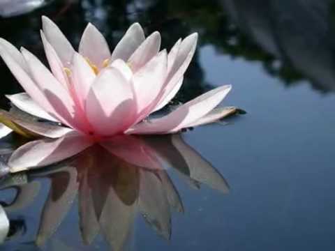 Nataša i Maha Mantra - Šeherezada