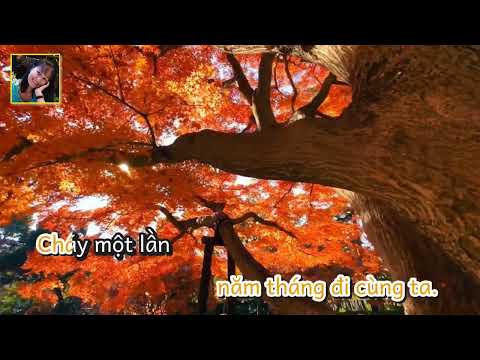 Mộng Thu vàng - hánh Dư