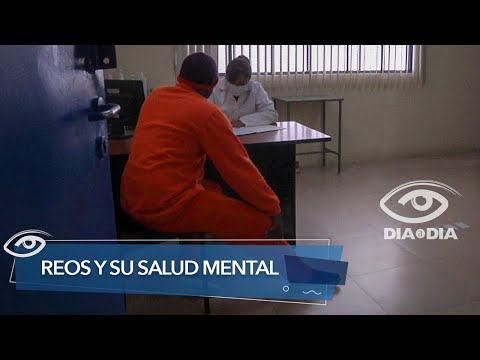 Reos y su salud mental - Día a Día - Teleamazonas