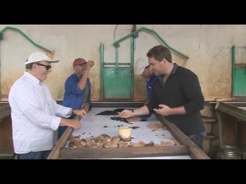 Mozambique’s Hidden Gems: A Real-Life Treasure Hunt!💎