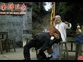 Dance Of The Drunk Mantis Fight