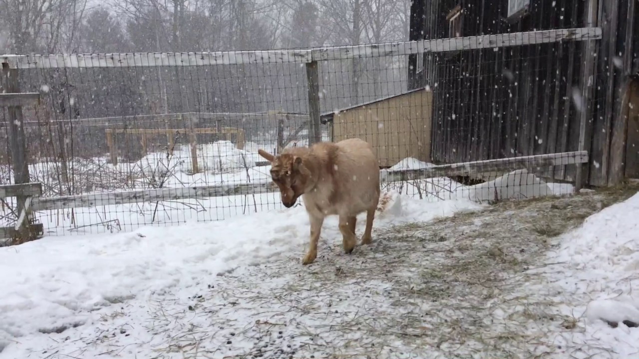 How I Feel About Winter...